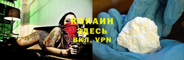 сатива Пересвет
