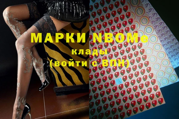 тгк Алзамай
