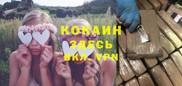 тгк Алзамай