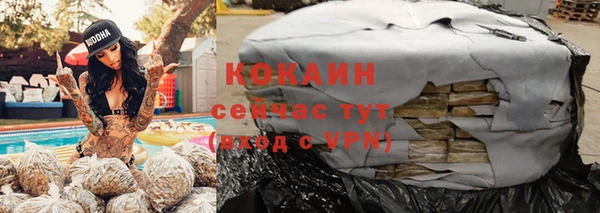 тгк Алзамай