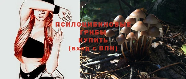 ПСИЛОЦИБИНОВЫЕ ГРИБЫ Алексин