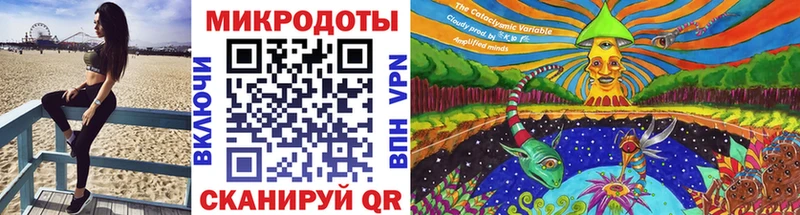 дарнет шоп  Пласт  Галлюциногенные грибы GOLDEN TEACHER 